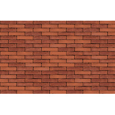 ЦЕГЛА РУЧНОГО ФОРМУВАННЯ VANDERSANDEN 221 B0 BECTON RED DF 210х100х65
