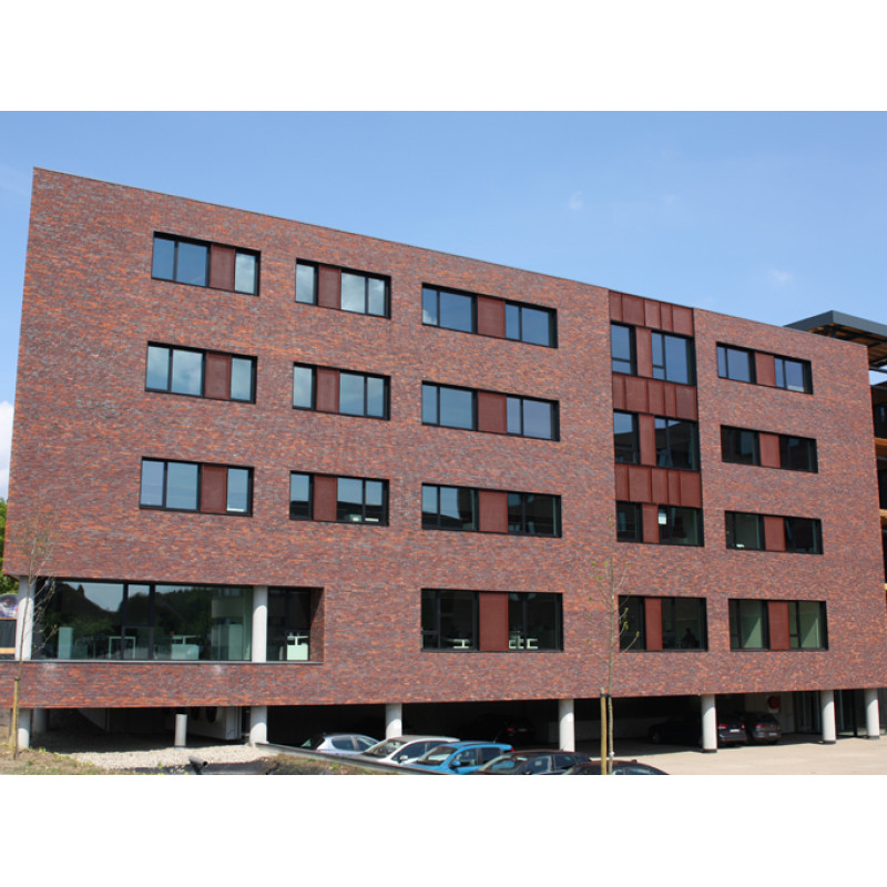 ЦЕГЛА РУЧНОГО ФОРМУВАННЯ VANDERSANDEN 513 BILLUND WS DF 210х100х65 ЦЕГЛА РУЧНОГО ФОРМУВАННЯ VANDERSANDEN 513 BILLUND WS DF 210х100х65