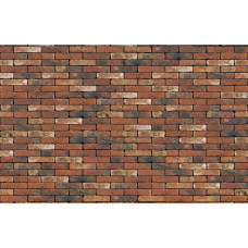 ЦЕГЛА РУЧНОГО ФОРМУВАННЯ VANDERSANDEN 312 CASTELLO ROOD WF 210х100х50