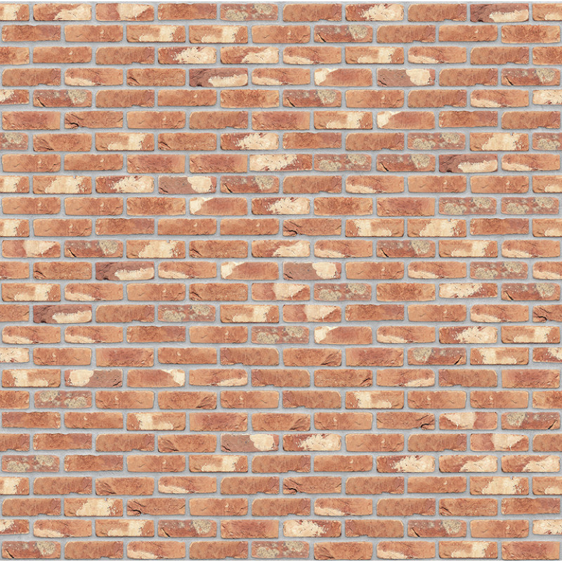 ЦЕГЛА РУЧНОГО ФОРМУВАННЯ VANDERSANDEN 306 CLASSIC TERRA COTTA DF 210х100х65 ЦЕГЛА РУЧНОГО ФОРМУВАННЯ VANDERSANDEN 306 CLASSIC TERRA COTTA DF 210х100х65