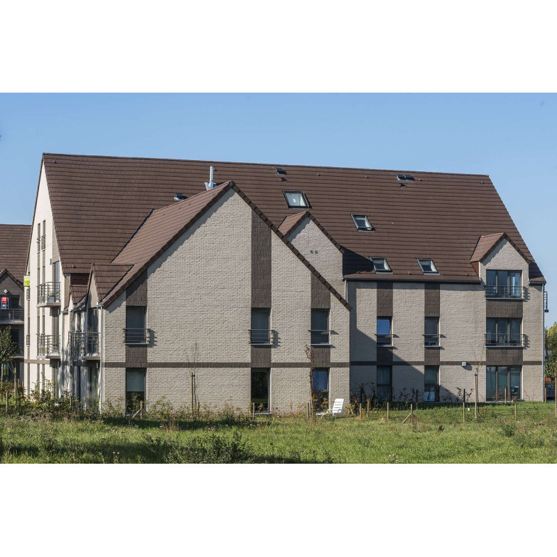 ЦЕГЛА РУЧНОГО ФОРМУВАННЯ VANDERSANDEN 38 CREME WF 210х100х50 ЦЕГЛА РУЧНОГО ФОРМУВАННЯ VANDERSANDEN 38 CREME WF 210х100х50