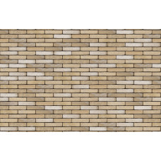 ПЛИТКА РУЧНОГО ФОРМУВАННЯ VANDERSANDEN 504 FREYA WS WF 210х20х50