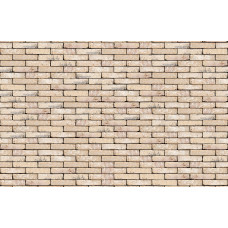 ПЛИТКА РУЧНОГО ФОРМУВАННЯ VANDERSANDEN 325 GARDA WS WF 210х20х50