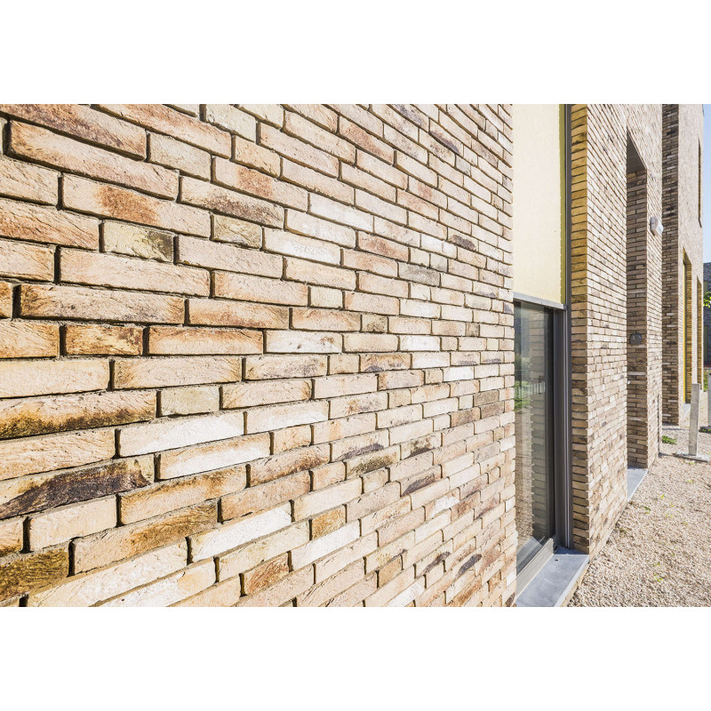 ЦЕГЛА РУЧНОГО ФОРМУВАННЯ VANDERSANDEN 81 LIGURE WF 210х100х50 ЦЕГЛА РУЧНОГО ФОРМУВАННЯ VANDERSANDEN 81 LIGURE WF 210х100х50