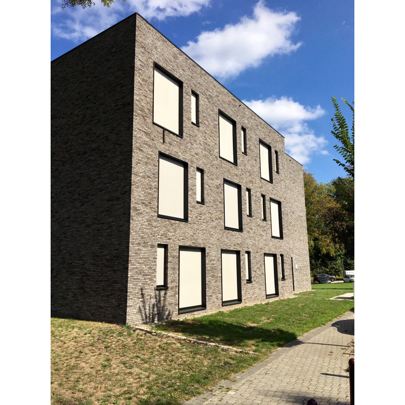 ЦЕГЛА РУЧНОГО ФОРМУВАННЯ VANDERSANDEN 330 NEVADO LIGHT DF 210х100х65 ЦЕГЛА РУЧНОГО ФОРМУВАННЯ VANDERSANDEN 330 NEVADO LIGHT DF 210х100х65