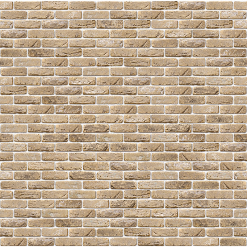 ЦЕГЛА РУЧНОГО ФОРМУВАННЯ VANDERSANDEN 101 OUD BLANCKAERT DF 210х100х65 ЦЕГЛА РУЧНОГО ФОРМУВАННЯ VANDERSANDEN 101 OUD BLANCKAERT DF 210х100х65