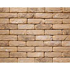 ЦЕГЛА РУЧНОГО ФОРМУВАННЯ VANDERSANDEN 101 OUD BLANCKAERT DF 210х100х65