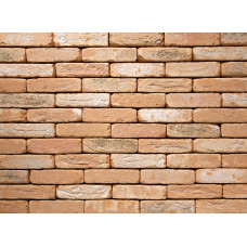 ЦЕГЛА РУЧНОГО ФОРМУВАННЯ VANDERSANDEN 80 OUD LEIE DF 210х100х65