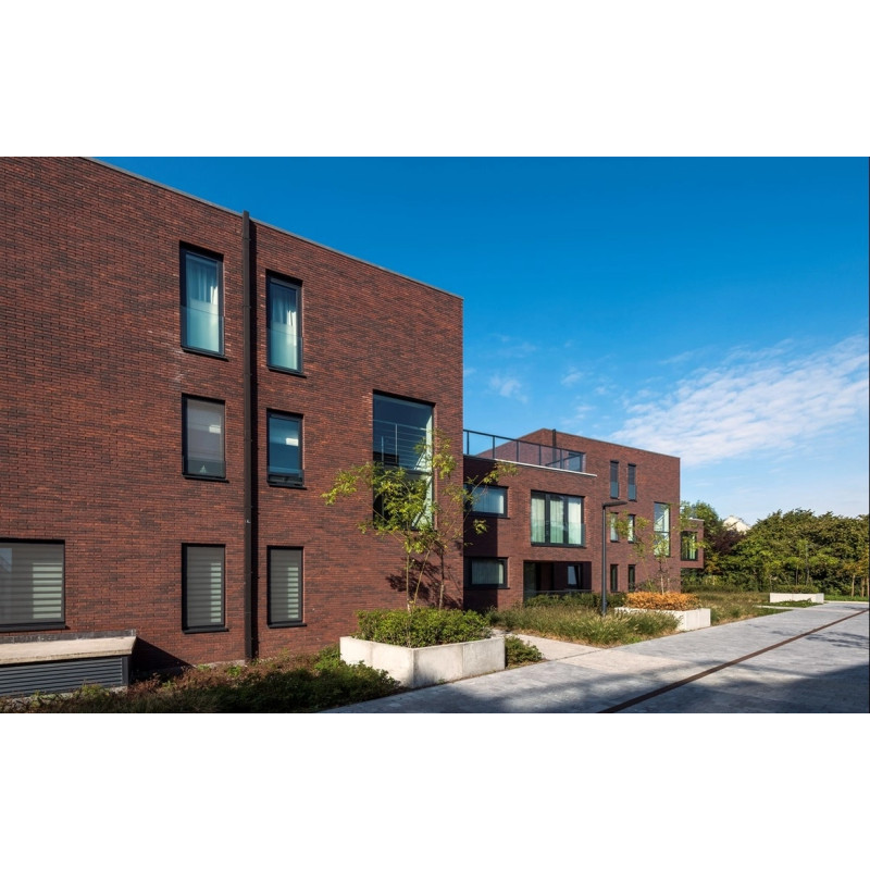 ЦЕГЛА РУЧНОГО ФОРМУВАННЯ VANDERSANDEN 33 PARMA WF 210х100х50 ЦЕГЛА РУЧНОГО ФОРМУВАННЯ VANDERSANDEN 33 PARMA WF 210х100х50