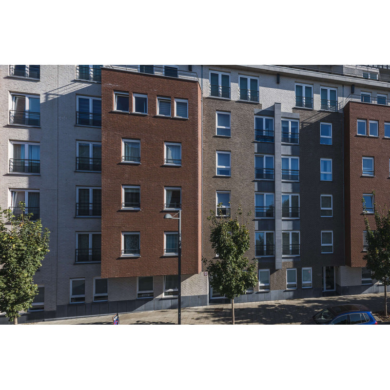 ЦЕГЛА РУЧНОГО ФОРМУВАННЯ VANDERSANDEN 4 PLATINA DF 210х100х65 ЦЕГЛА РУЧНОГО ФОРМУВАННЯ VANDERSANDEN 4 PLATINA DF 210х100х65
