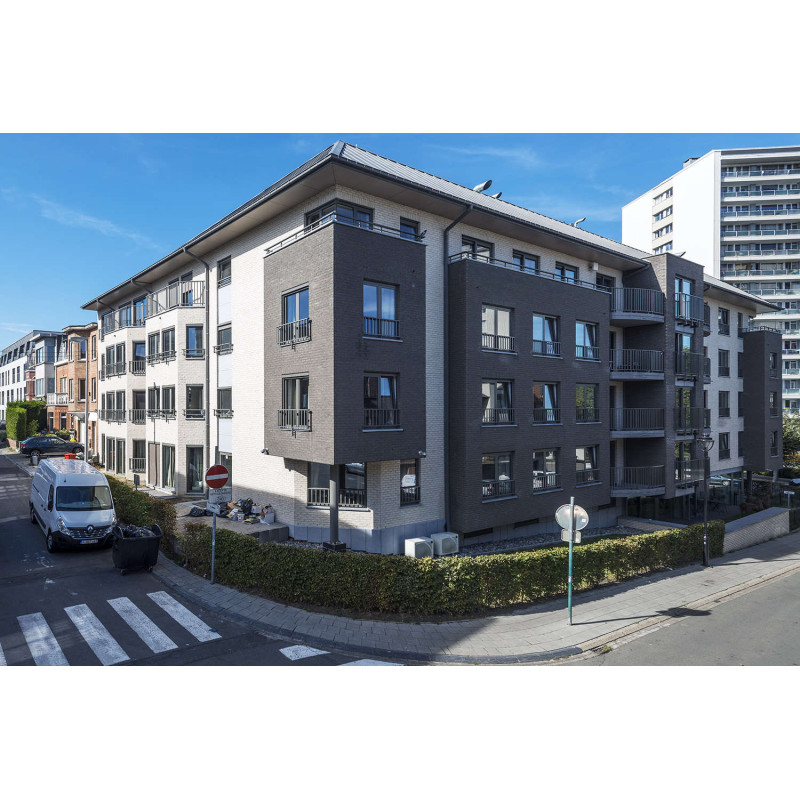 ЦЕГЛА РУЧНОГО ФОРМУВАННЯ VANDERSANDEN 4 PLATINA DF 210х100х65 ЦЕГЛА РУЧНОГО ФОРМУВАННЯ VANDERSANDEN 4 PLATINA DF 210х100х65