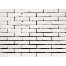 ЦЕГЛА РУЧНОГО ФОРМУВАННЯ VANDERSANDEN 350 RAINBOW WHITE WF 210х100х50