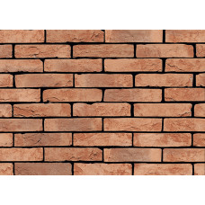 ЦЕГЛА РУЧНОГО ФОРМУВАННЯ VANDERSANDEN 304 TERRA COTTA WF 210х100х50