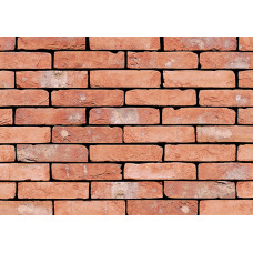 ЦЕГЛА РУЧНОГО ФОРМУВАННЯ VANDERSANDEN 305 TERRA COTTA GS DF 210х100х65