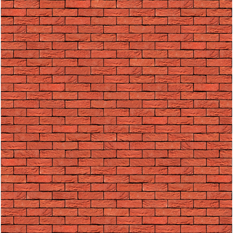 ЦЕГЛА РУЧНОГО ФОРМУВАННЯ VANDERSANDEN 11 TERRA ROOD DF 210х100х65 ЦЕГЛА РУЧНОГО ФОРМУВАННЯ VANDERSANDEN 11 TERRA ROOD DF 210х100х65