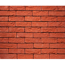 ЦЕГЛА РУЧНОГО ФОРМУВАННЯ VANDERSANDEN 11 TERRA ROOD DF 210х100х65