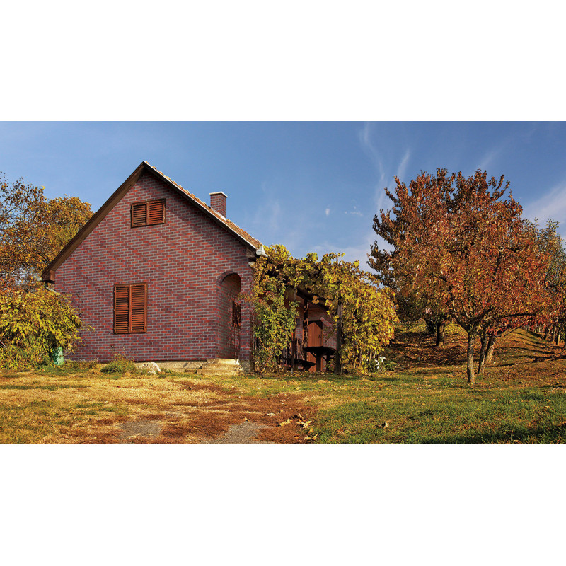 Клінкерна плитка King Klinker Old Castle HF21 Aria Rustica, 240x71x10 мм Клінкерна плитка King Klinker Old Castle HF21 Aria Rustica, 240x71x10 мм